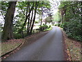 Bridge over a small stream in the grounds of Lamphey Court Hotel, Lamphey