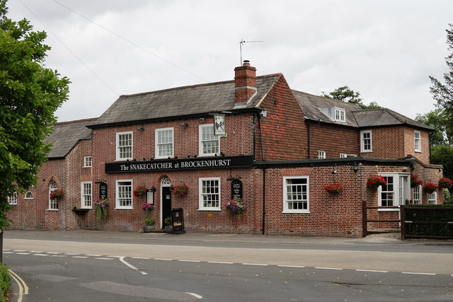 The Snakecatcher at Brockenhurst © Peter Trimming :: Geograph Britain ...