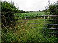 Overgrown area around a field gate near Furzton Wood