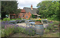 Herb Garden at The Clifden Arms