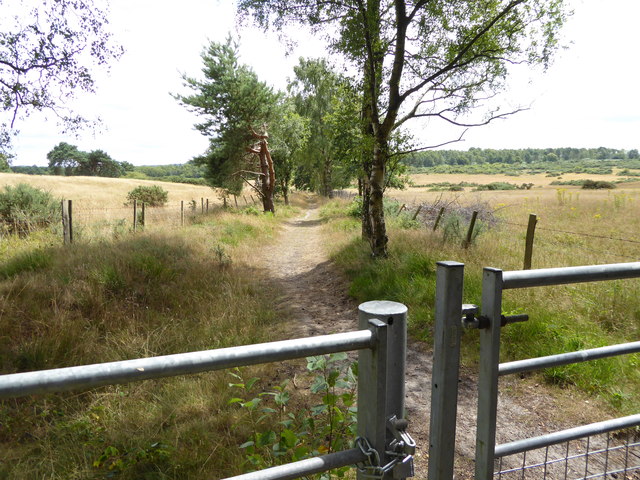 Bridleway between Shipwrights' Way (Liss Forest to Liphook spur) and the Sussex Border Path