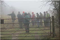 SP9314 : The guided party look at an area of unimproved chalk grassland by Chris Reynolds