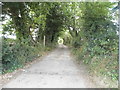 Track off Pooleys Lane, Welham Green