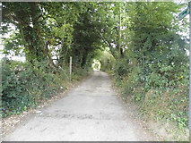 TL2205 : Track off Pooleys Lane, Welham Green by David Howard