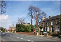 SE4048 : Deighton Road, Wetherby by Derek Harper
