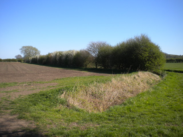 Bridleway near Welldale Farm (1)