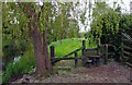 N0503 : Fence and stile by Little Brosna River, Riverstown, Co. Tipperary by P L Chadwick