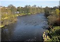 River Wharfe at Wetherby