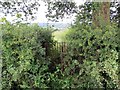 Llwybr Cwmwernen / Cwmwernen path