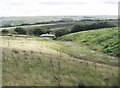 Titchcombe Bungalow