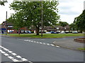 Green open space at Ladbury Grove