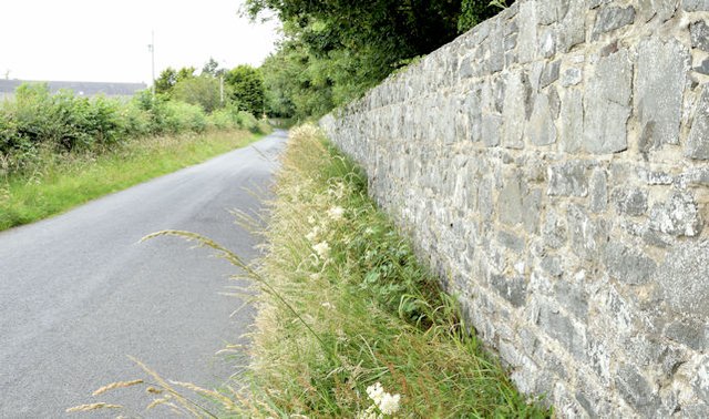 Mount Stewart estate wall, Newtownards/Greyabbey (July 2015)