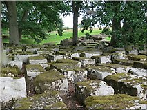 NY9170 : Remains of Chesters Roman Bridge by Andrew Curtis
