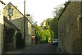 Hixet Wood in Charlbury