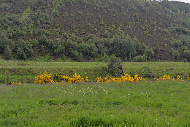 Fields alongside the River Findhorn