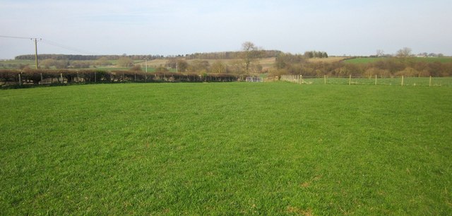 Field, Stockeld Grange