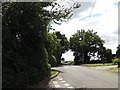 TM1468 : Wetheringsett Road, Thorndon by Geographer