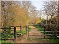 Gate on the Harland Way