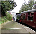 Letting off steam at Winchcombe railway station