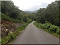 Minor road near Strathcoil