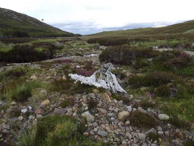 Bogwood root washed out of the peat by Allt Coire nan Con in Glencalvie Forest
