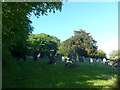 Saint Gregory, Goodleigh: churchyard (3)