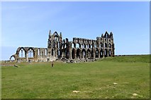 NZ9011 : Ruins of Whitby Abbey by David Smith