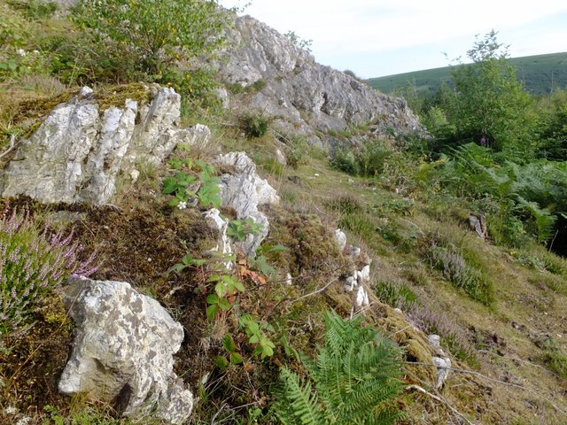 Outcrop at Stanner Rocks