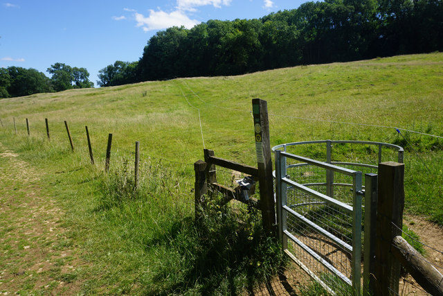 Guided path across a field