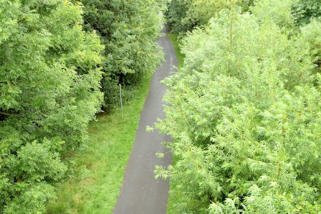 The Comber Greenway, North Road, Belfast - July 2015 (1)