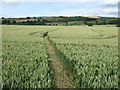 Footpath to Low Borrowby