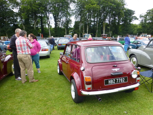Mini Cooper, Plumbridge Rally