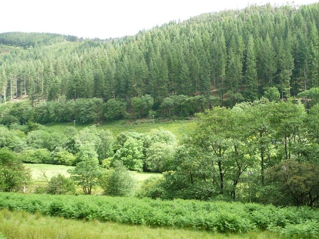 The valley of Afon Dulas, looking east