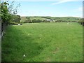 Sheep pasture south-east of Bryngwynmawr