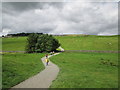 NY7968 : The  path  to  Housesteads  Roman  Fort by Martin Dawes
