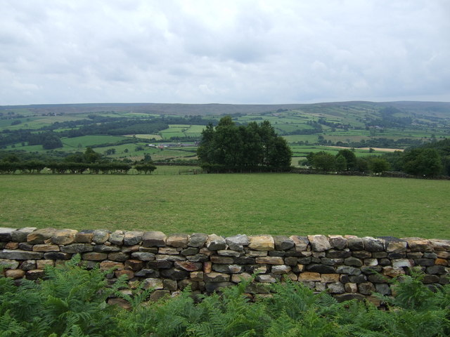 Stone wall and grazing © JThomas cc-by-sa/2.0 :: Geograph Britain and ...