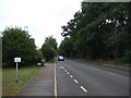 Norwich Road (A1075)