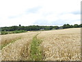 Field and dwellings north of Maiden Marsh layby