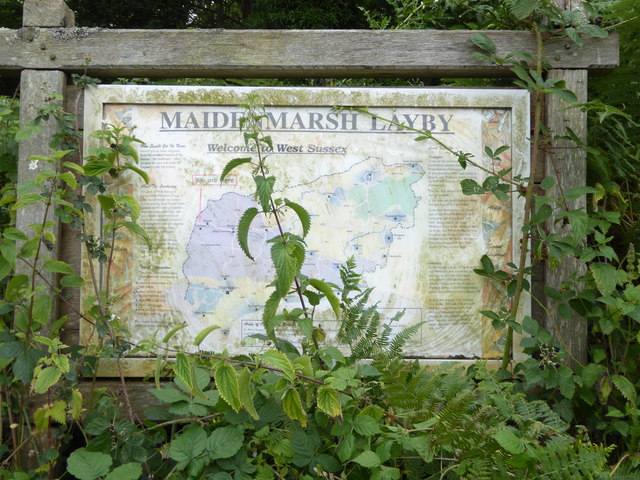 Information panel at Maiden Marsh layby
