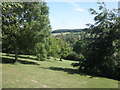 View towards Benthills Wood