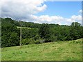 Cow Field Mead