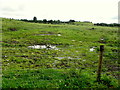 Wet ground, Killybane