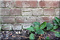 Benchmark on farm building at Long Marston Grounds