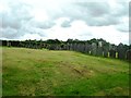 Bethlehem Chapel, Pwll Trap - graveyard