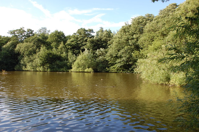 Bay Pond © Trevor Harris cc-by-sa/2.0 :: Geograph Britain and Ireland