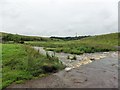 NZ0084 : Ford over The Wansbeck by Stuart Shepherd