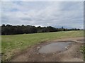 Field by Shepherds Way, Brookmans Park