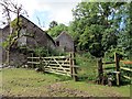 Llwybr y Deri Path