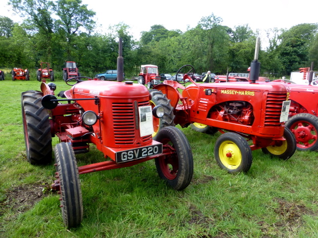 David Brown 25 and Massey Harris, Clogher Valley Show