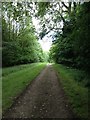 Bridleway near Geddington Chase